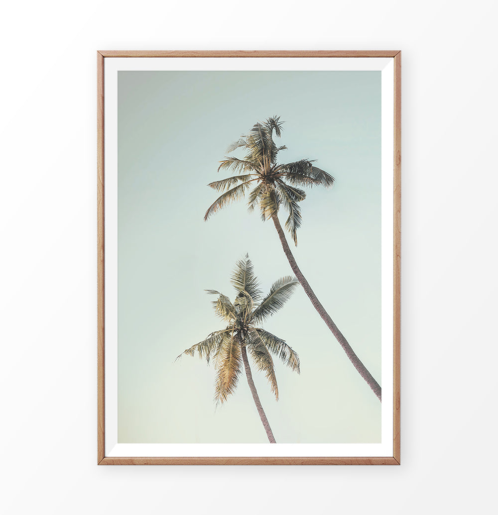 Palm Tree Photo Tropical Beach Art | Digital Palm Tree – Seven Paper Prints