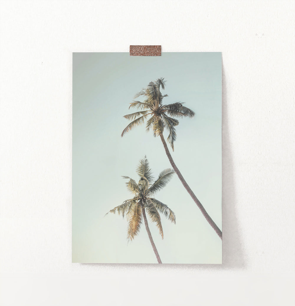 Palm Tree Photo Tropical Beach Art | Digital Palm Tree – Seven