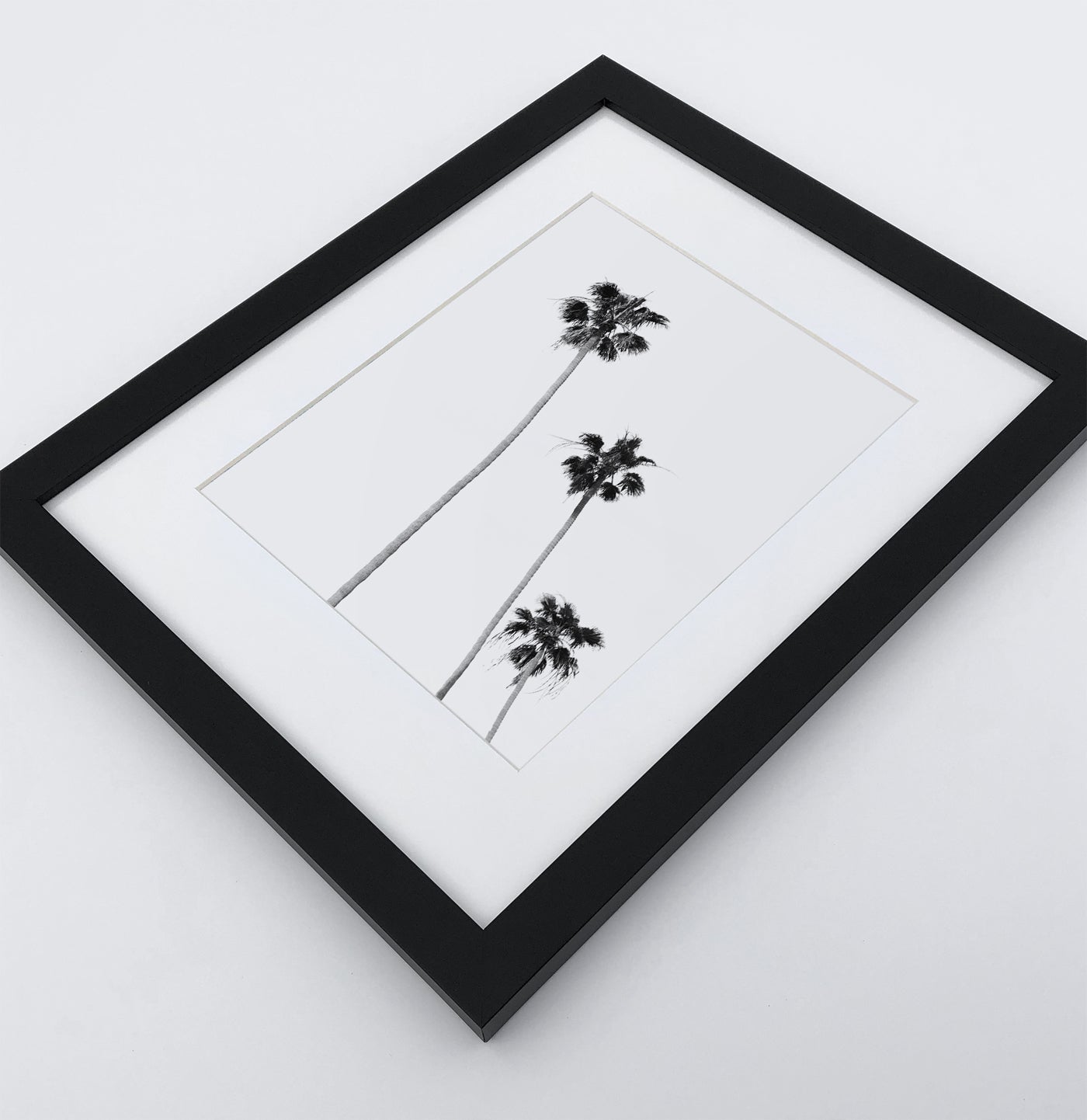 Board Against A Palm, Ocean Surfing 3 Framed Art Prints in b/w