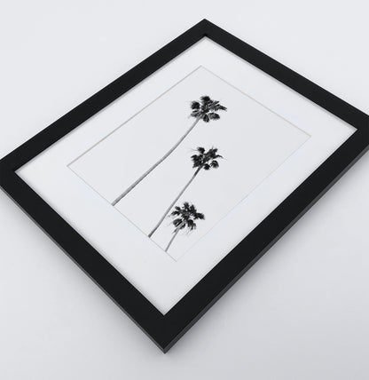 Board Against A Palm, Ocean Surfing 3 Framed Art Prints in b/w