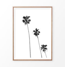 Load image into Gallery viewer, Black White Palm Trees Isolated 
