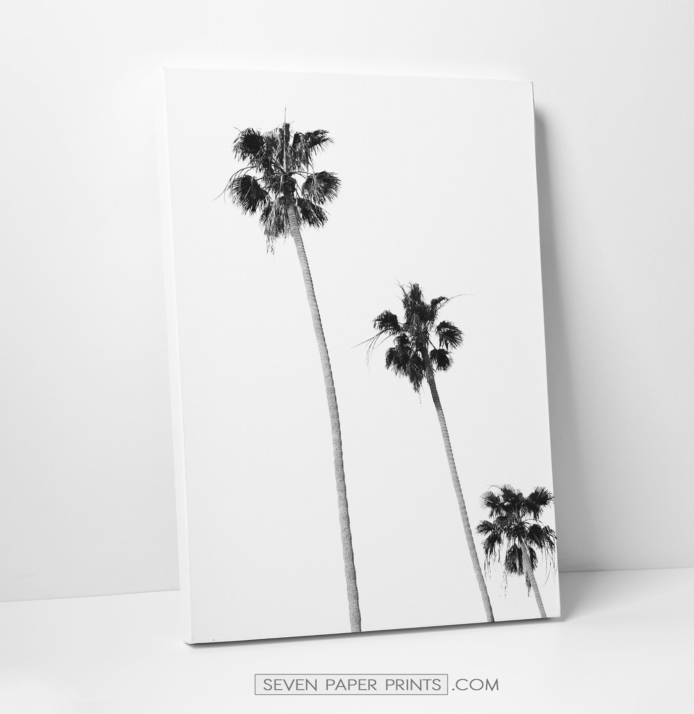 Surfers, ocean and palm trees. BW canvas set of 3 #178
