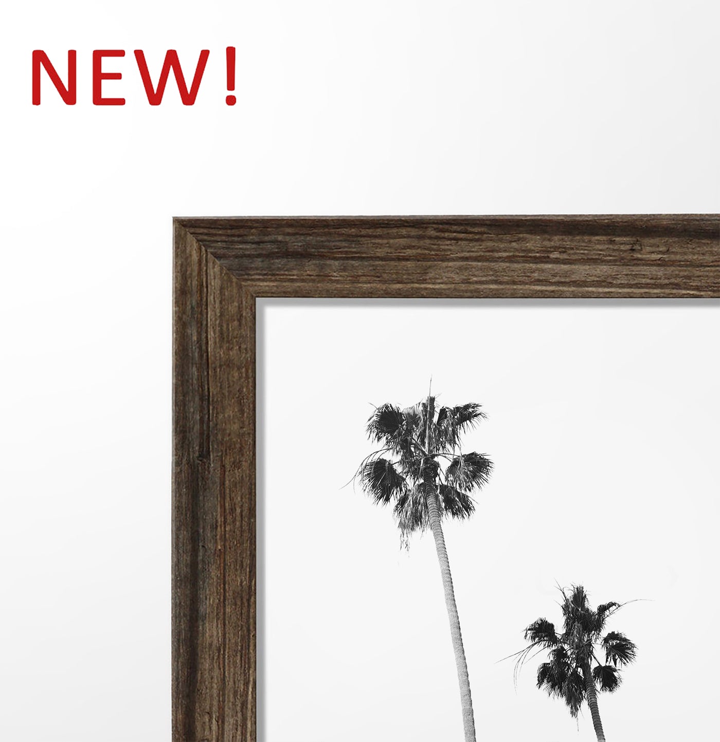 Board Against A Palm, Ocean Surfing 3 Framed Art Prints in b/w