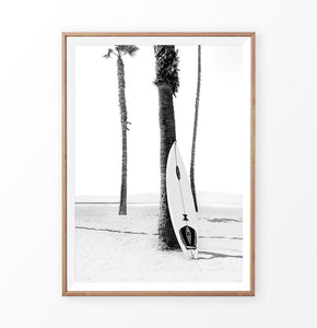 Surfboard on Beach Palm Tree