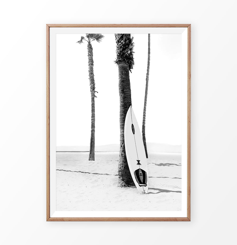 Black and White Surfboard near Pam Tree