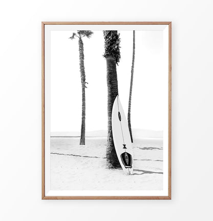 Black and White Surfboard near Pam Tree