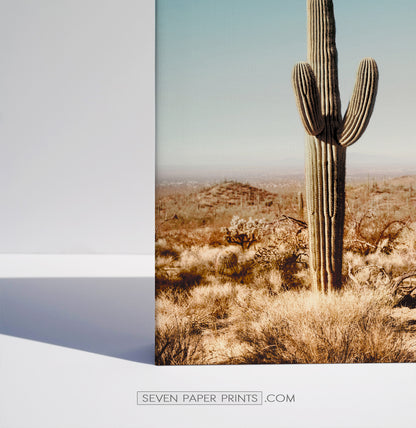 Colorado wall decor. 3 piece canvas #188