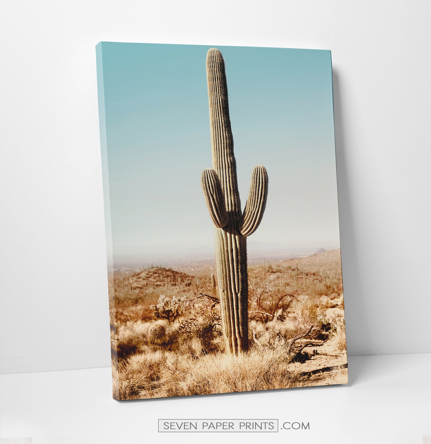 Colorado wall decor. 3 piece canvas #188