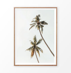 Warm color palm tree print