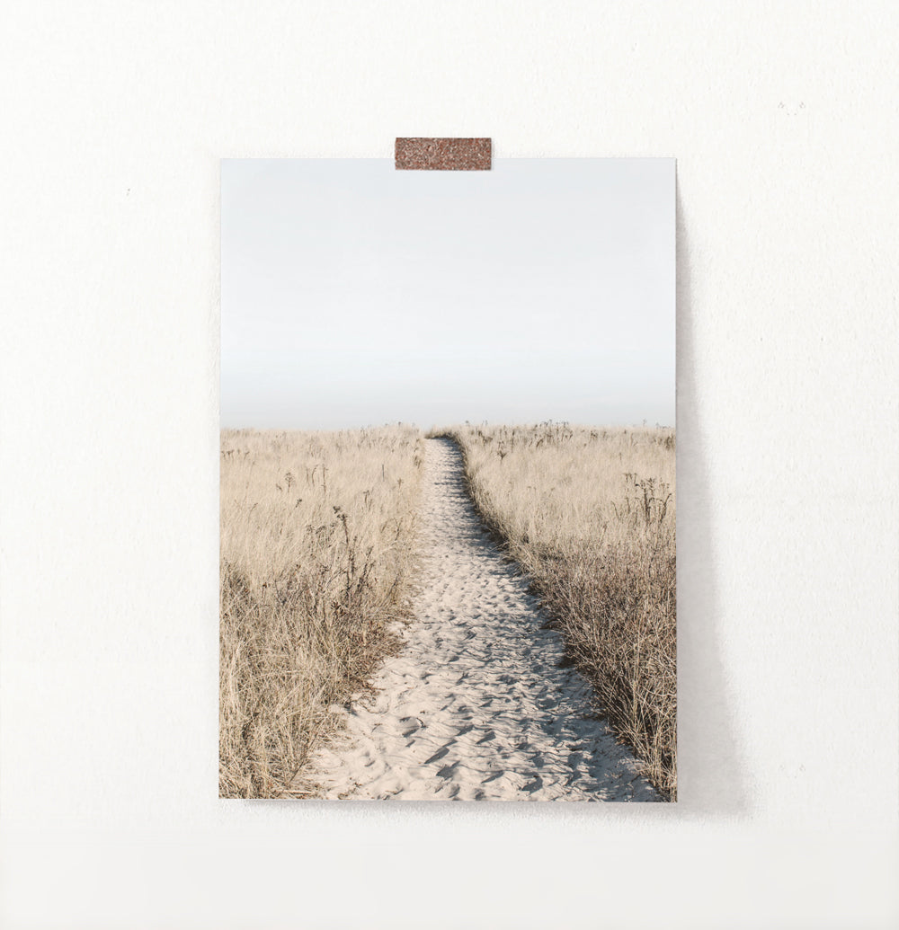 Sandy Beach Walkway Print