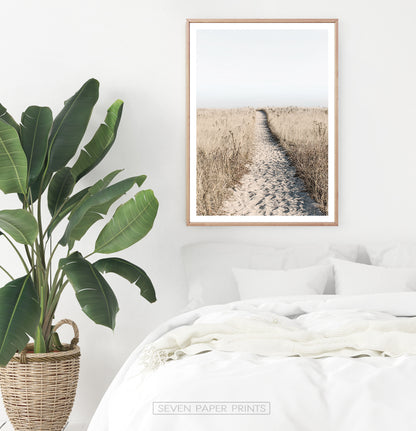 Sandy Beach Walkway Print