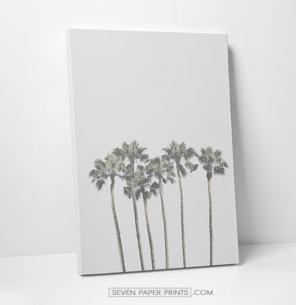 Gray tropical palms and ocean wall art. 3 piece canvas #190