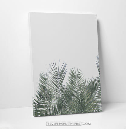 Gray tropical palms and ocean wall art. 3 piece canvas #190