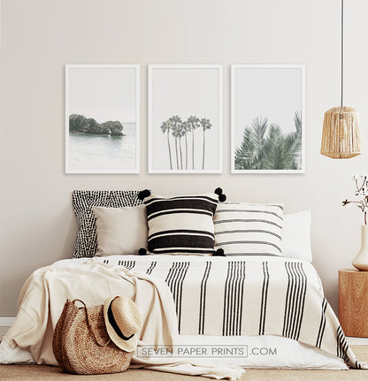 Three framed photo prints with a rock and some palms 3