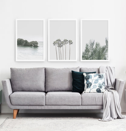 Three framed photo prints with a rock and some palms