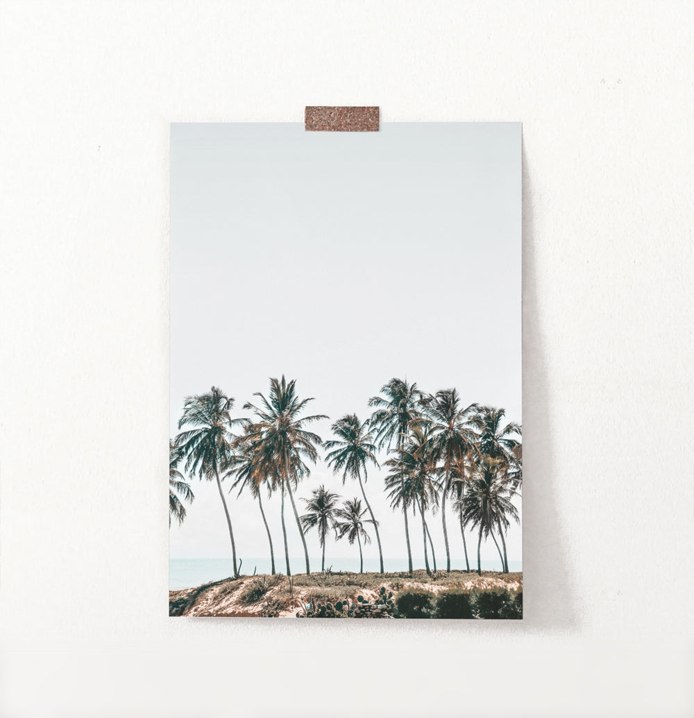 Palm Trees Tropical Photo Wall Art