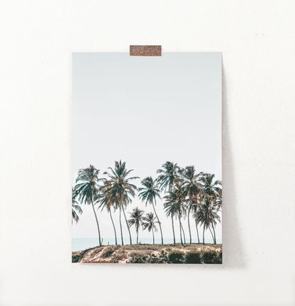 Palm Trees Tropical Photo Wall Art