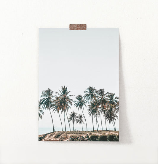 Palm Trees Tropical Photo Wall Art