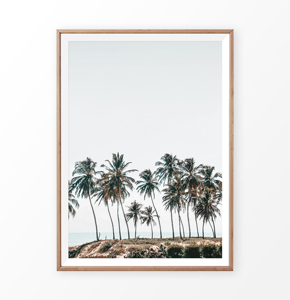 Palm Trees On the Rocky Ocean Beach