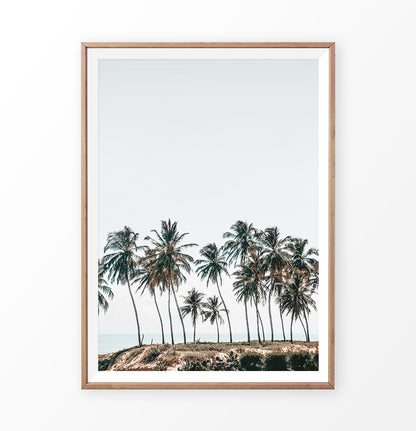 Palm Trees On the Rocky Ocean Beach