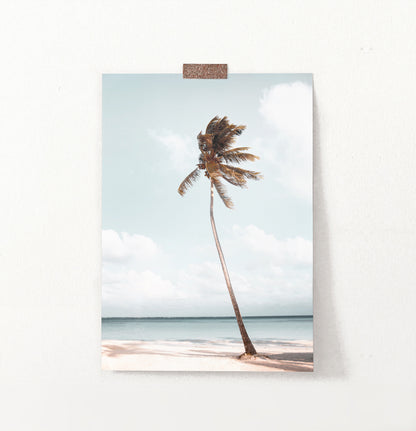 Hawaii Beach Coastal Palm Tree Wall Art