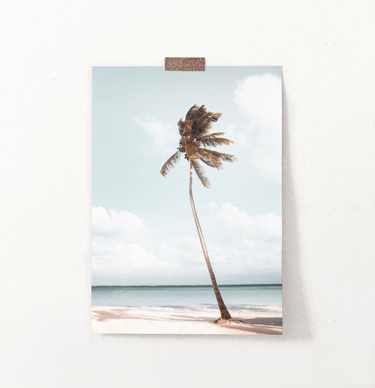Hawaii Beach Coastal Palm Tree Wall Art