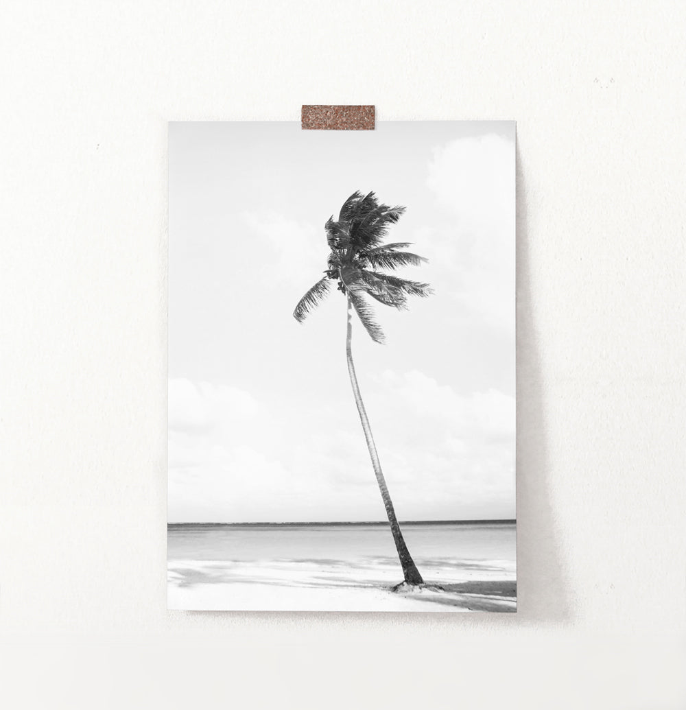 Black And White Palm Wall Art