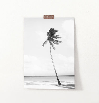Black And White Palm Wall Art