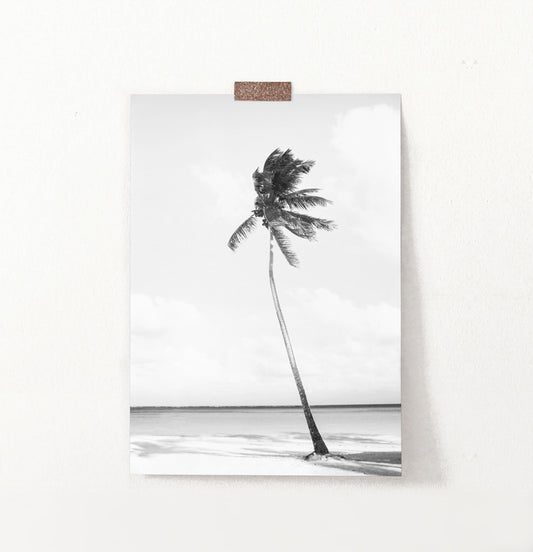 Black And White Palm Wall Art