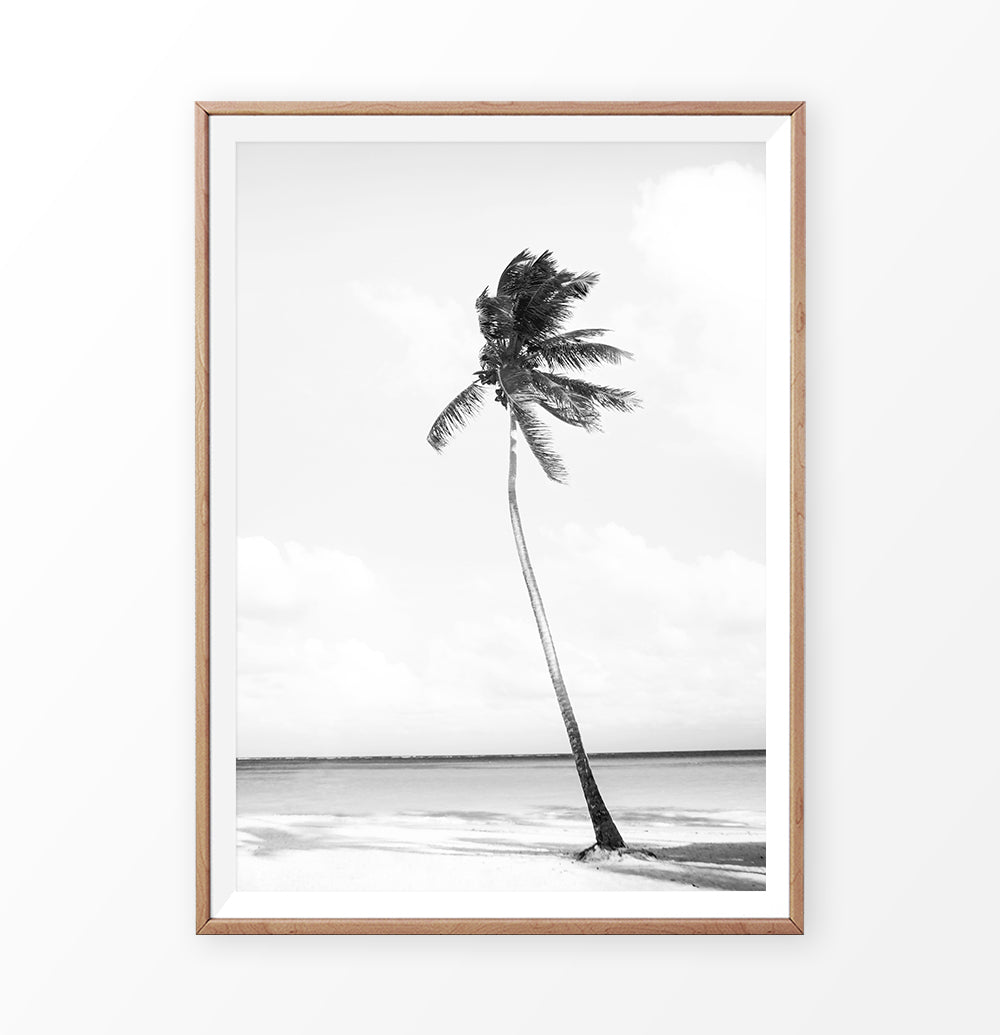 Black and white palm tree on the beach art