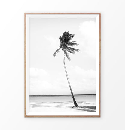 Black and white palm tree on the beach art