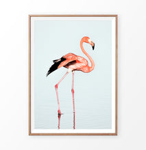 Load image into Gallery viewer, Pink Flamingo on Blue Background
