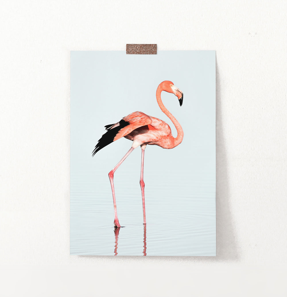Pink Flamingo Modern Wall Art