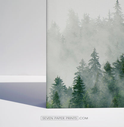 Misty Green Spruce Forest 3 Piece Canvas Photo Wall