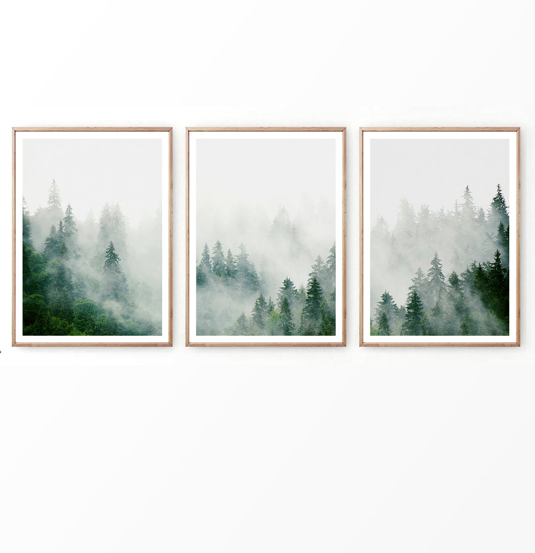 Misty Emerald Pines in Foggy Mountain Set of 3 Prints