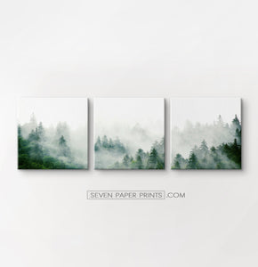 Misty Green Spruce Forest 3 Piece Canvas Photo Wall