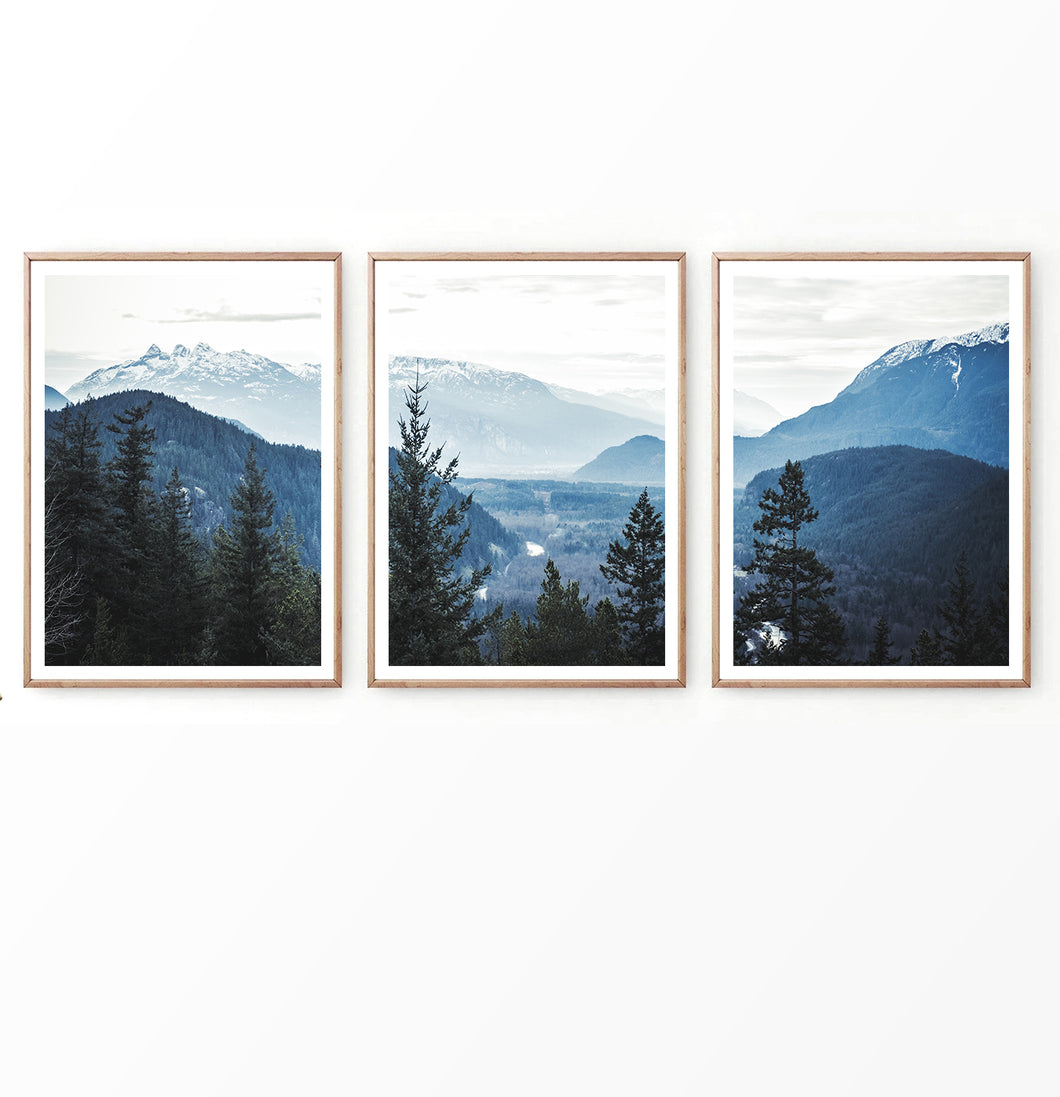 Blue Forest Set of 3 Wall Art Prints | Matte and Luster – Seven Paper Prints