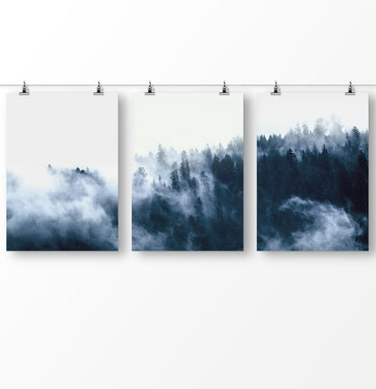 Foggy forest, blue forest photography, misty pine trees