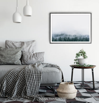 Misty Fir Forest Canadian Natural Wall Art