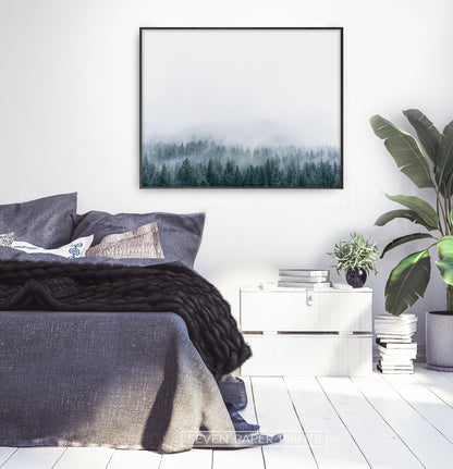 Misty Fir Forest Canadian Natural Wall Art