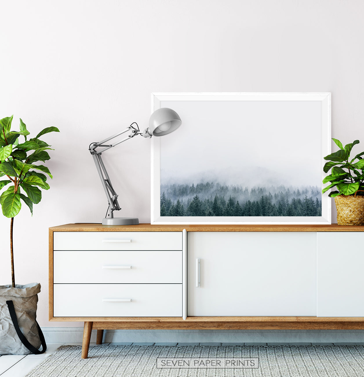 Misty Fir Forest Canadian Natural Wall Art