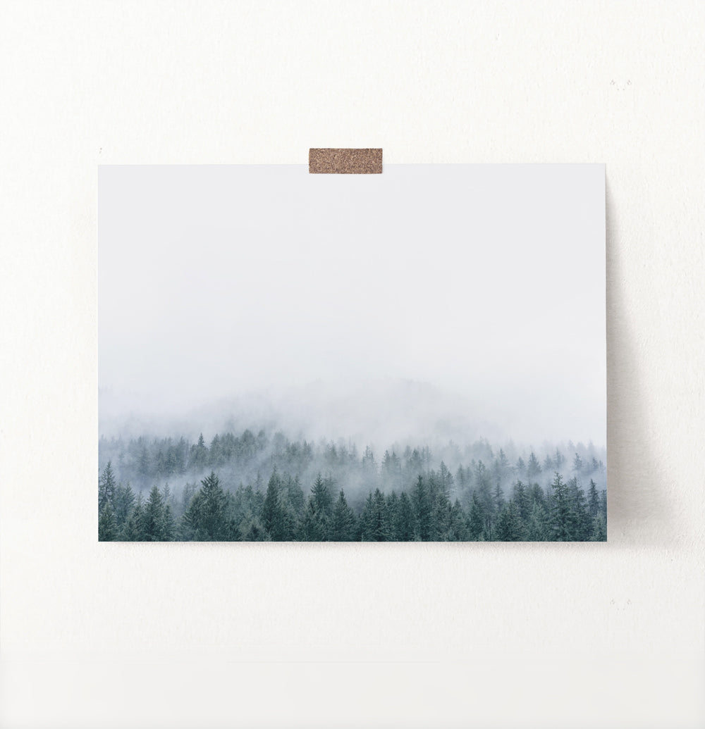 Misty Fir Forest Canadian Natural Wall Art