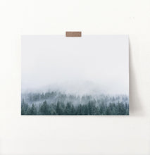 Load image into Gallery viewer, Misty Fir Forest Canadian Natural Wall Art
