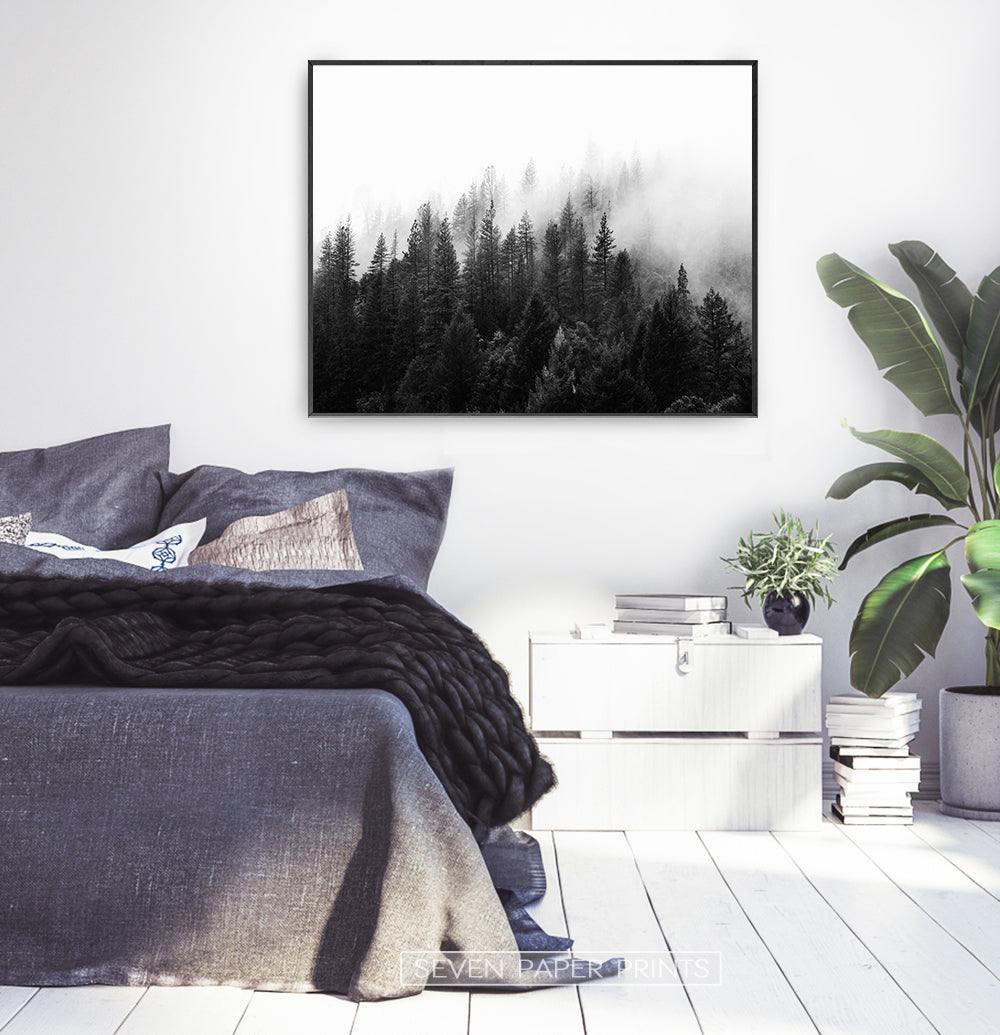 Dark Forest In Mist Black And White Poster