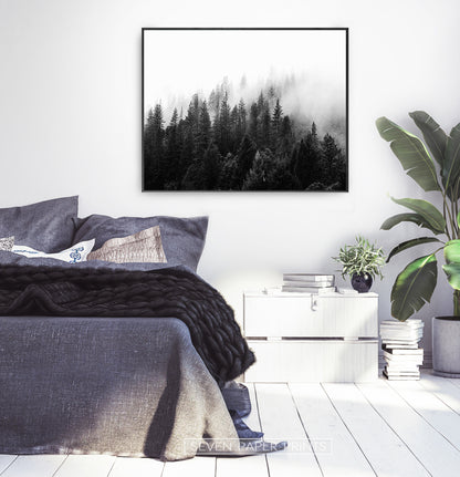 Dark Forest In Mist Black And White Poster
