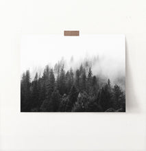 Load image into Gallery viewer, Dark Forest In Mist Black And White Poster
