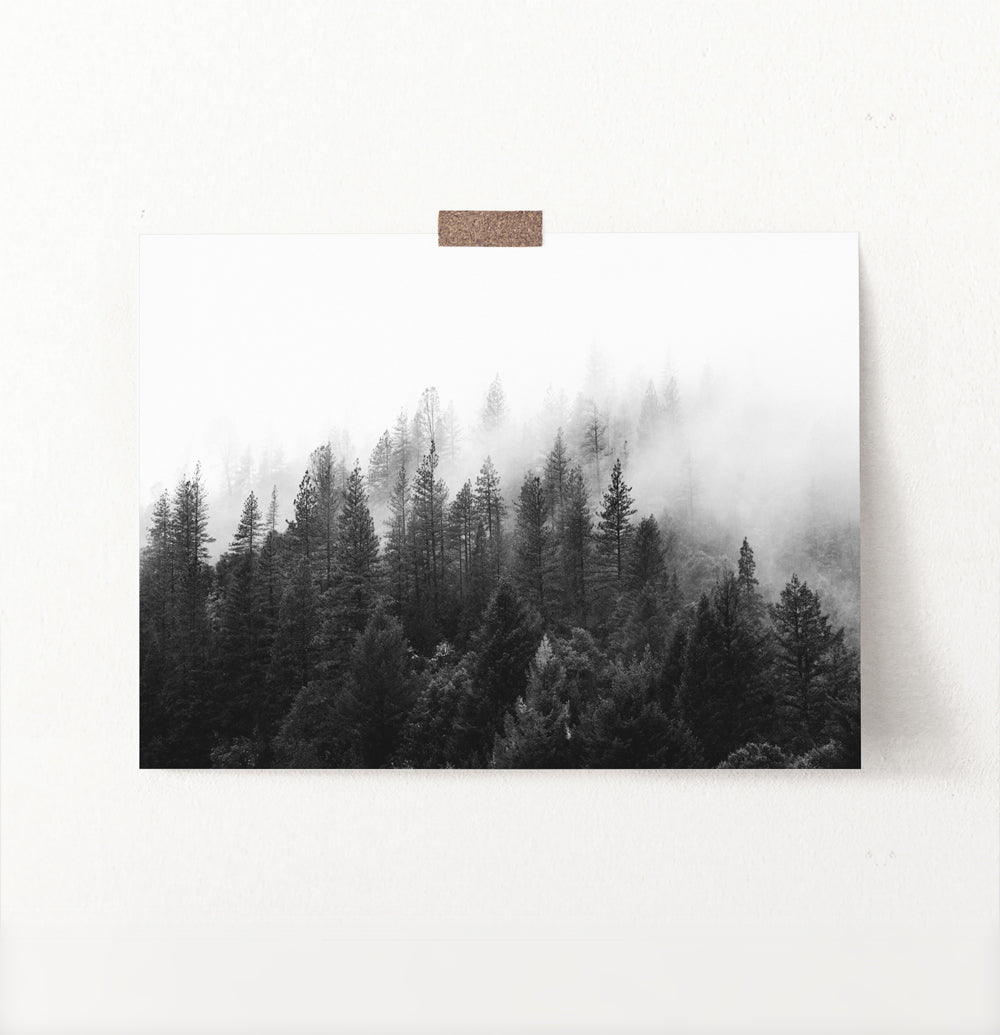 Dark Forest In Mist Black And White Poster