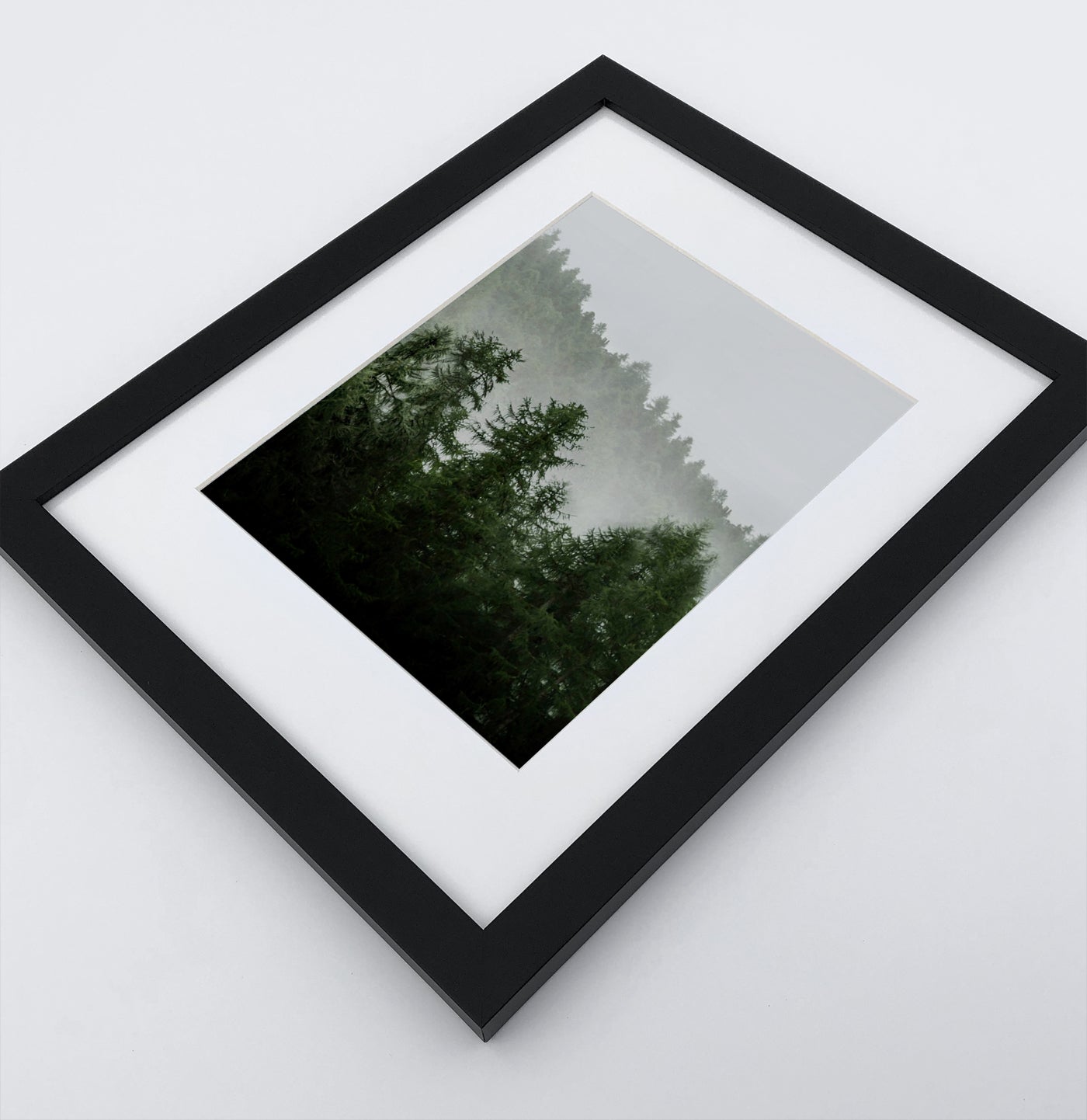 A photo print of a forest