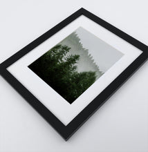 Load image into Gallery viewer, A photo print of a forest
