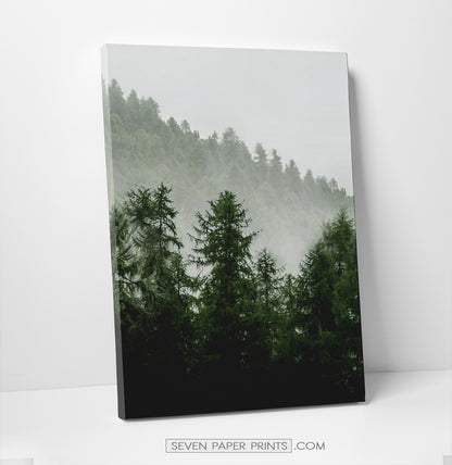 Green forest set of 3 canvas wall art #218